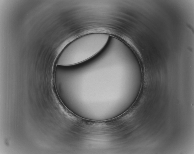 X0000101690845200807101206