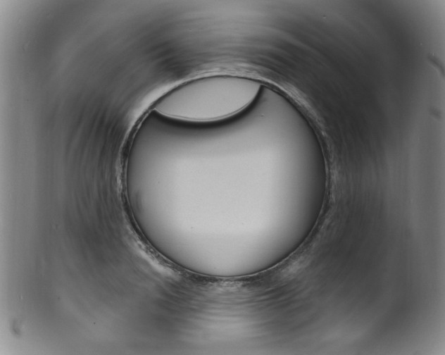 X0000101690846200807101206