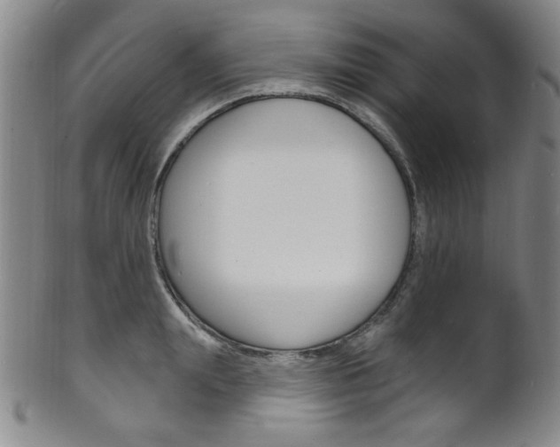 X0000101690847200807101206