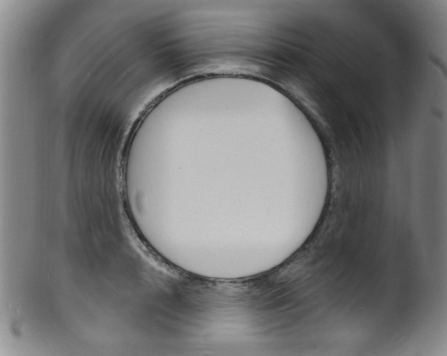X0000101690848200807101206