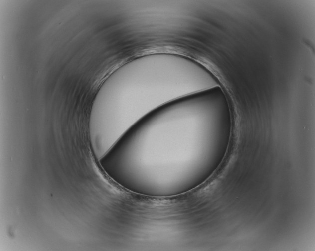 X0000101690849200807101206