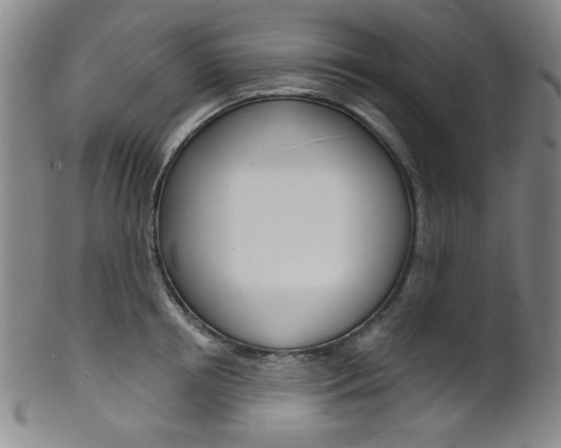 X0000101690850200807101206