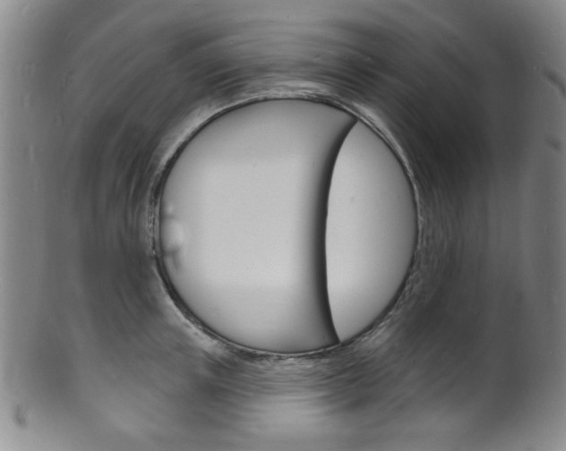 X0000101690851200807101206