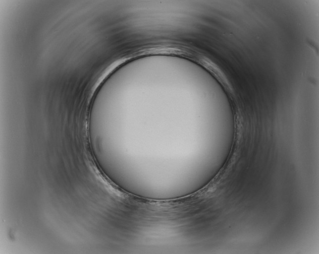 X0000101690852200807101206