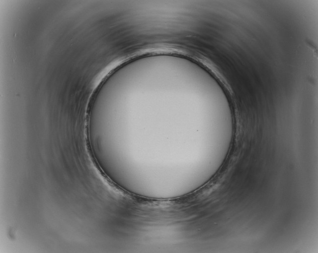 X0000101690853200807101206