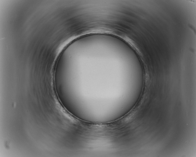 X0000101690854200807101206