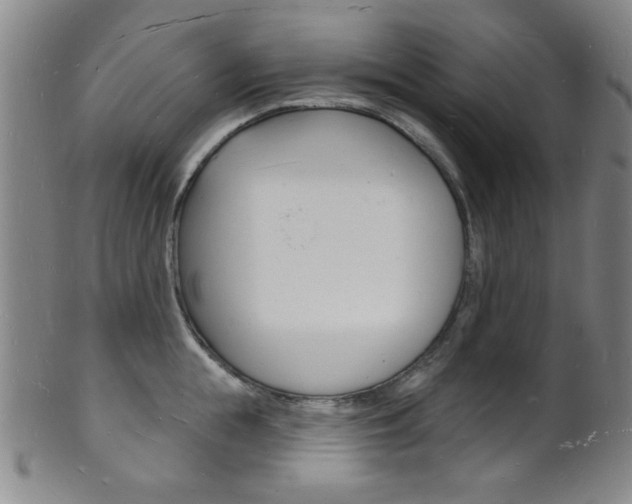 X0000101690855200807101206