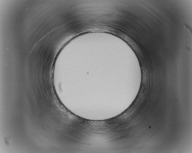 X0000101690856200807101206