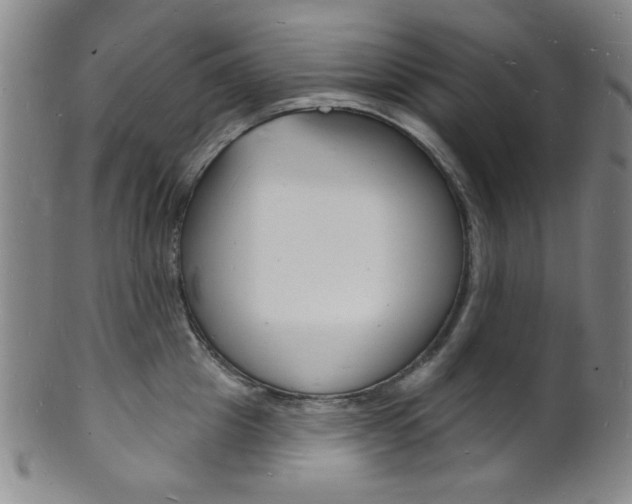 X0000101690857200807101206