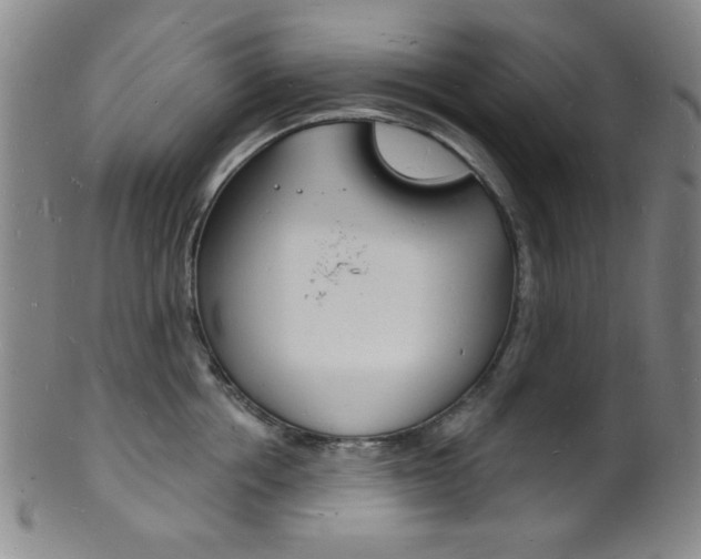 X0000101690858200807101206