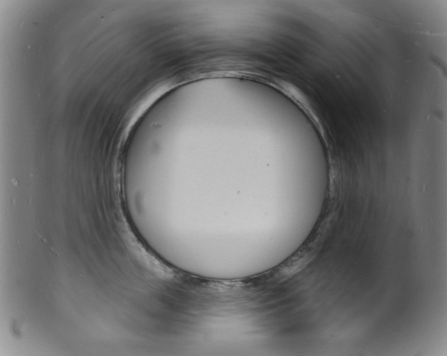 X0000101690859200807101206