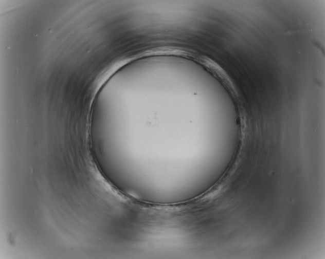 X0000101690860200807101206