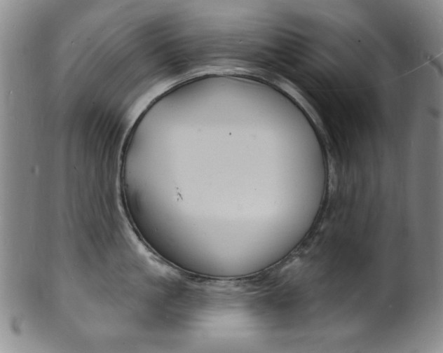 X0000101690861200807101206