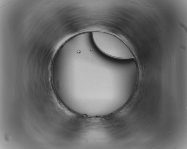 X0000101690862200807101206