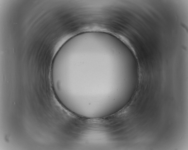X0000101690863200807101206