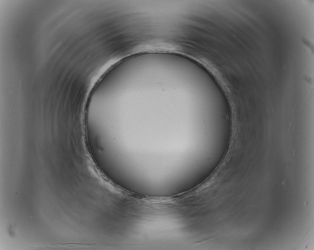 X0000101690864200807101206