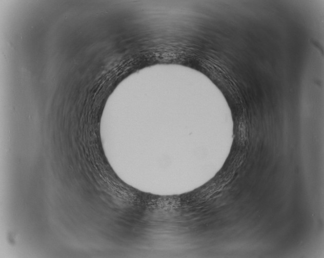 X0000101690865200807101206
