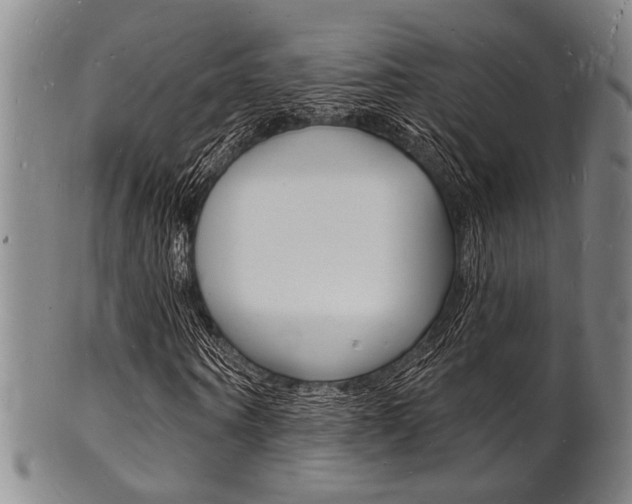 X0000101690866200807101206