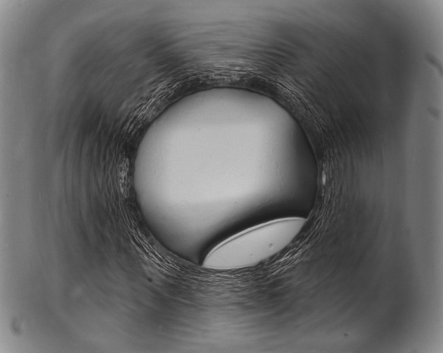 X0000101690867200807101206