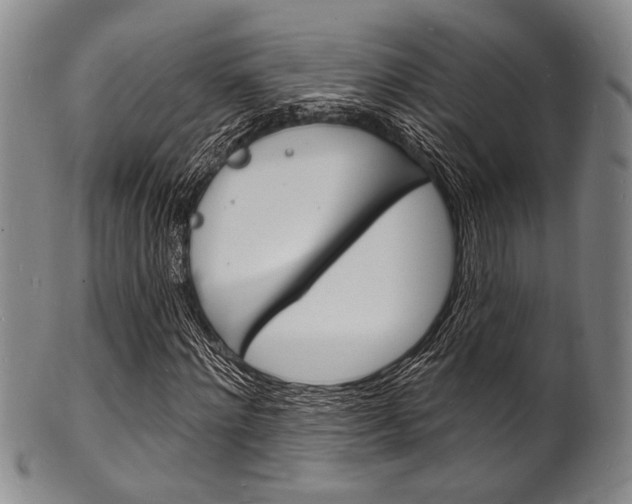 X0000101690868200807101206