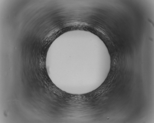 X0000101690869200807101206