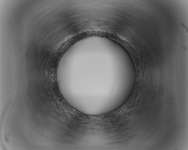 X0000101690870200807101206