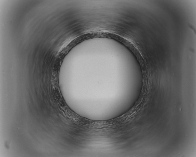 X0000101690871200807101206