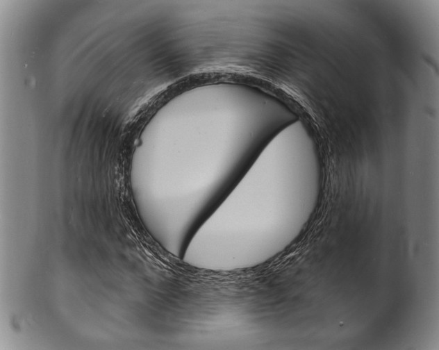 X0000101690872200807101206