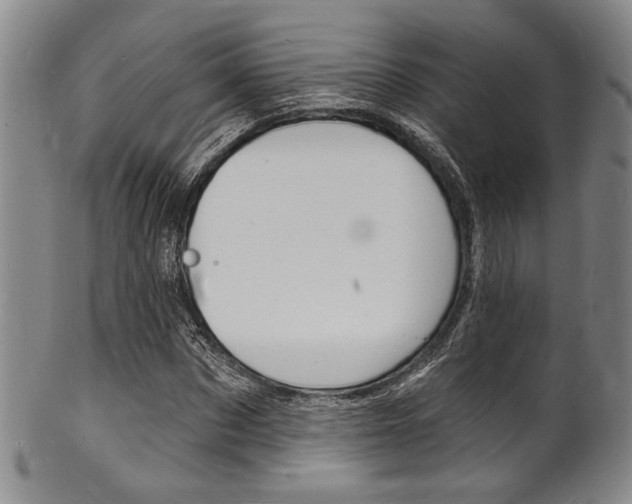 X0000101690873200807101206