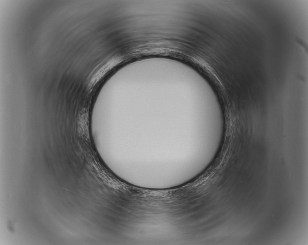 X0000101690874200807101206