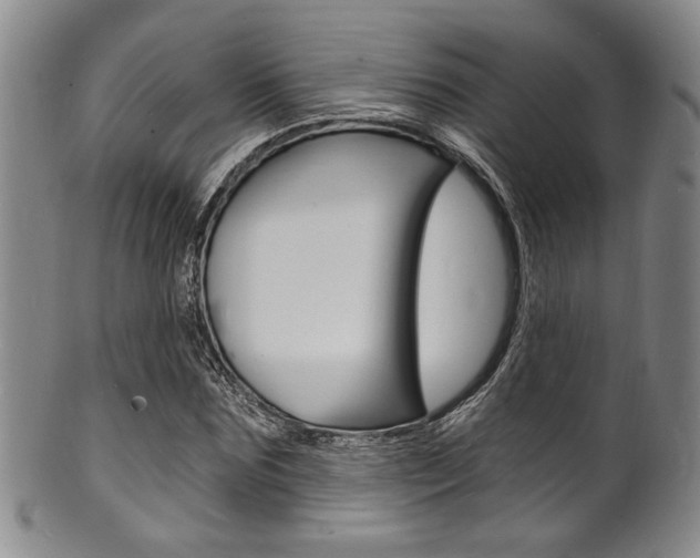 X0000101690875200807101205