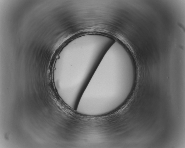 X0000101690876200807101205