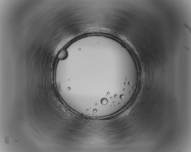 X0000101690877200807101205