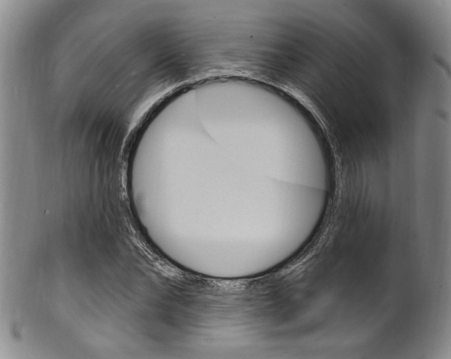 X0000101690878200807101205