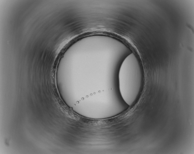 X0000101690879200807101205
