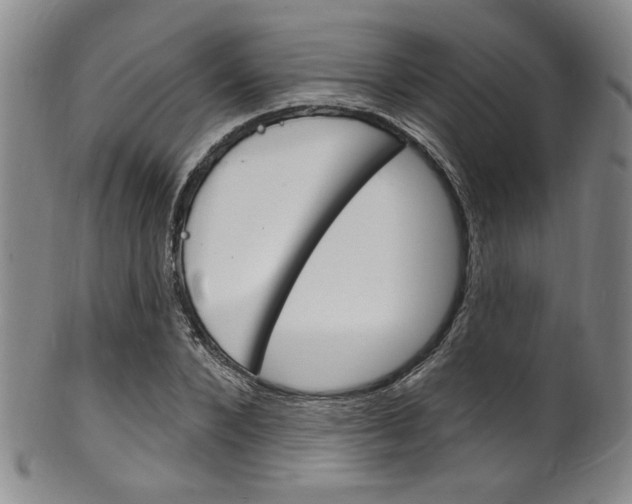 X0000101690880200807101205
