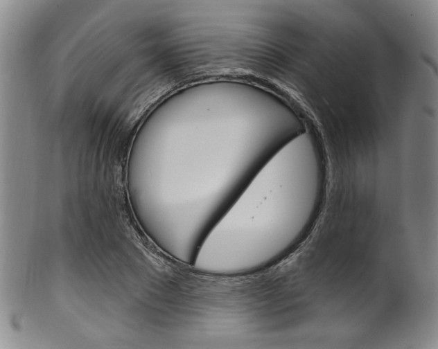 X0000101690881200807101205