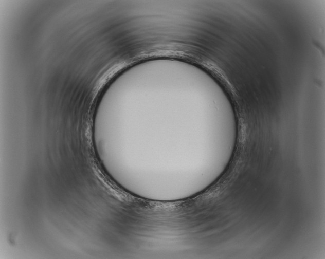 X0000101690882200807101205