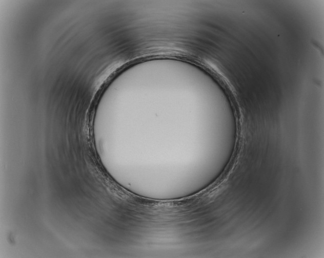 X0000101690883200807101205
