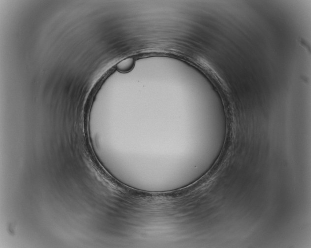 X0000101690884200807101205