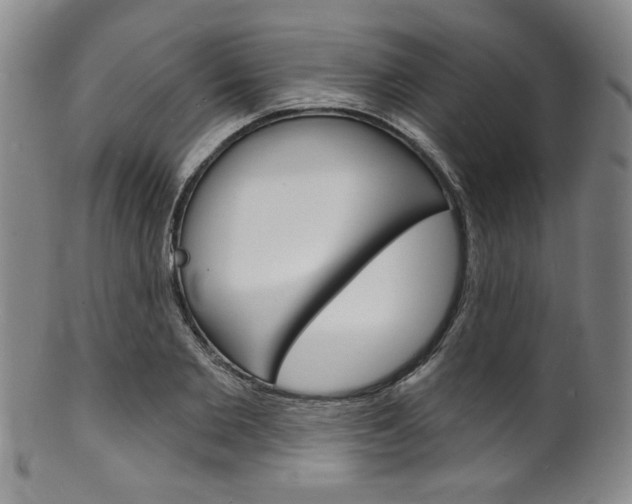 X0000101690885200807101205