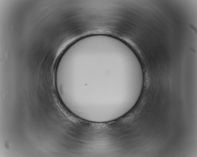 X0000101690886200807101205