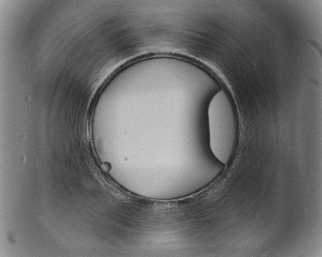 X0000101690887200807101205
