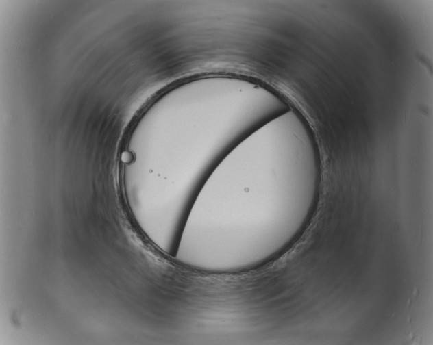 X0000101690888200807101205