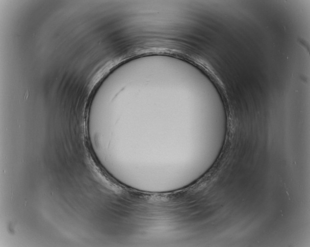 X0000101690890200807101205