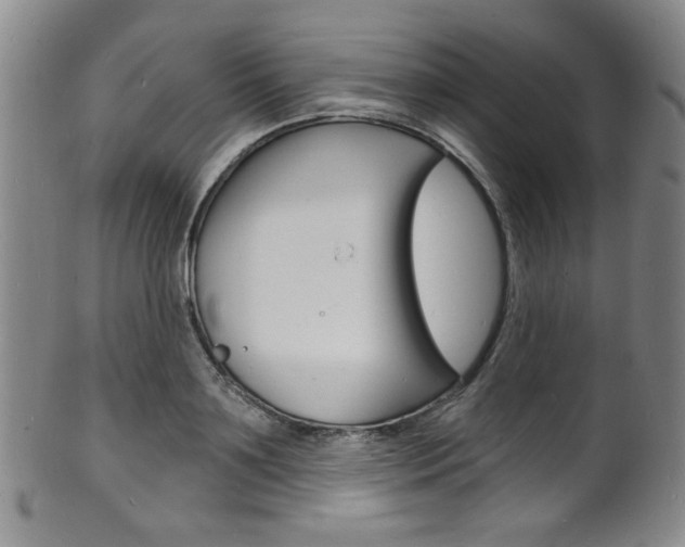 X0000101690891200807101205