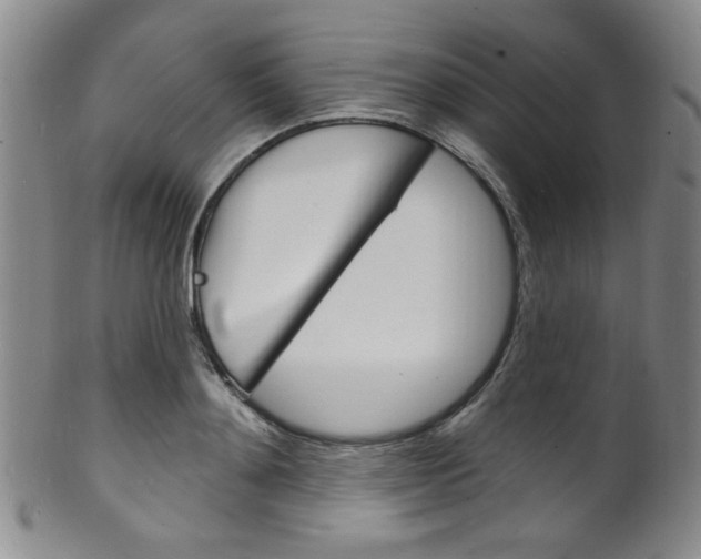 X0000101690892200807101205
