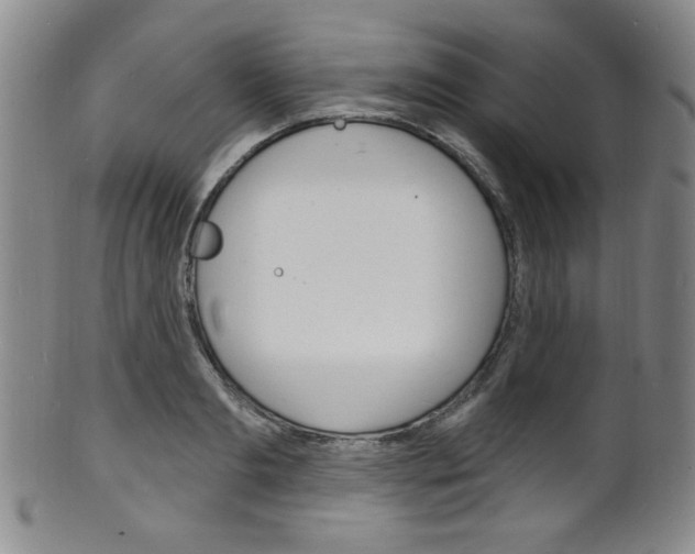 X0000101690893200807101205