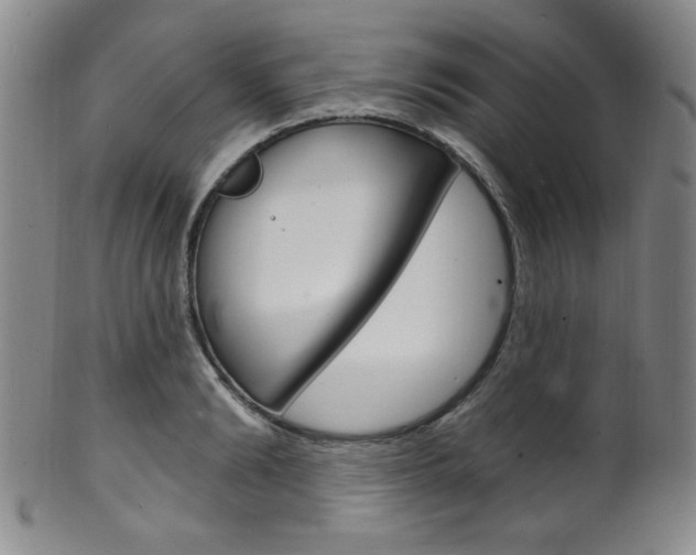 X0000101690894200807101205