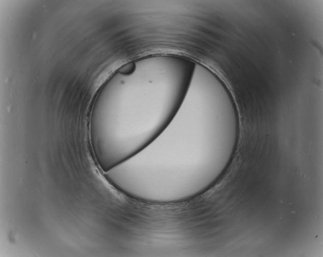 X0000101690898200807101205
